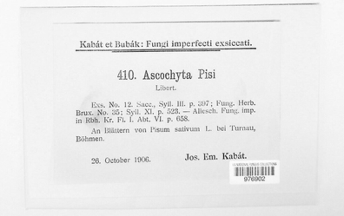 Didymella pisi image